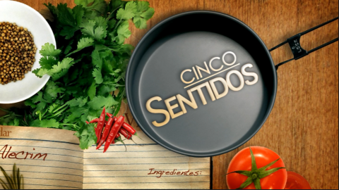 5 Sentidos
