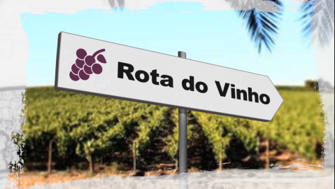 Rota do Vinho